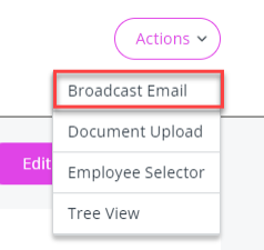 The Boradcast Email option in the Actions drop-down. 