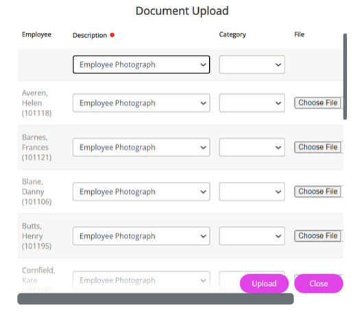 The Documetn Upload table.