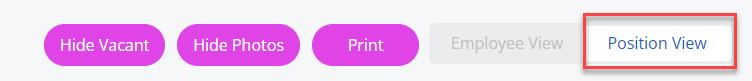 The Position View option in the Org Chart. 