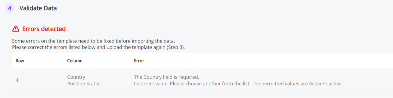 A list of errors found in the template. 