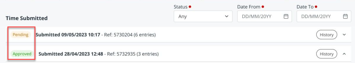 The status labels in the Time tab. 