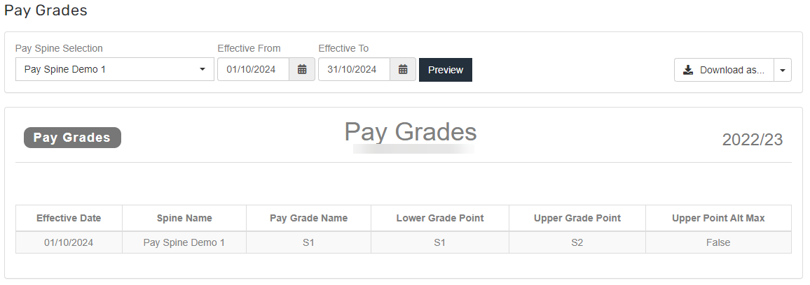 Image showing pay spine information report
