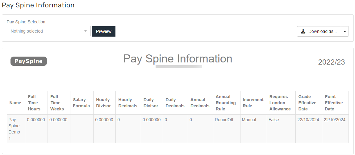 Image showing pay spine information report