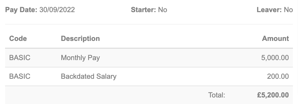 Payslip with backdated salary shown.